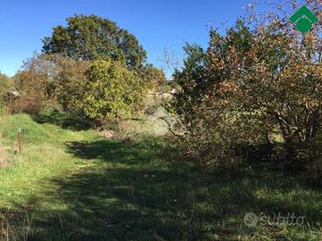 TER. AGRICOLO A SANTERAMO IN COLLE