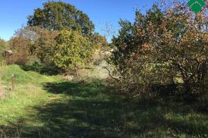 TER. AGRICOLO A SANTERAMO IN COLLE