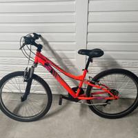 Mountain bike bambino