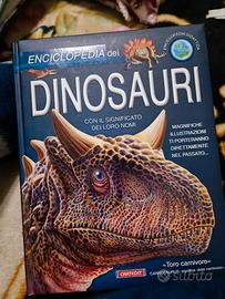 Libro Dinosauri 