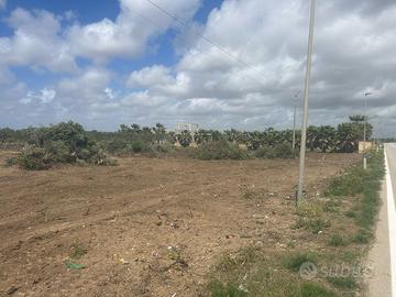 Terreno agricolo