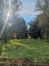 Terreno Agricolo
