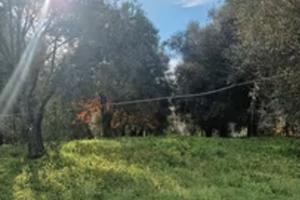 Terreno Agricolo