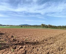 Terreno edificabile - Alghero