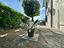 Immagine 17