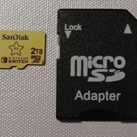 Micro Sd da 2t 