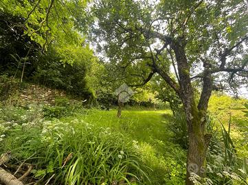 TER. AGRICOLO A SANT'OLCESE