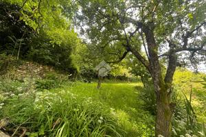 TER. AGRICOLO A SANT'OLCESE