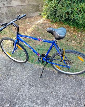 Bicicleta mountain bike 