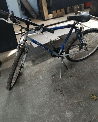 Bicicletta