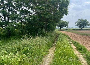 Immobile in asta di 6530 m² a Alessandria