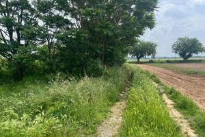 Immobile in asta di 6530 m² a Alessandria