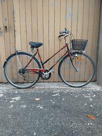 Bici wander con cestino