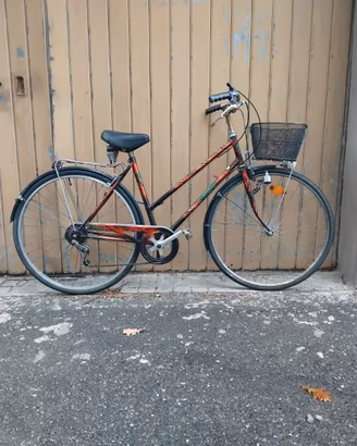 Bici wander con cestino