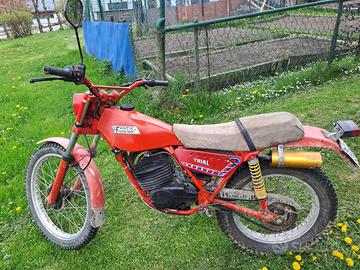 Fantic tx cilindrata 125 Trial Top