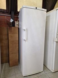 Congelatore verticale Liebherr 7 cassetti