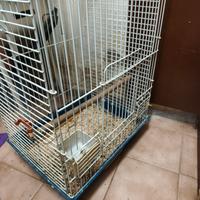 gabbia trespoli per pappagalli 