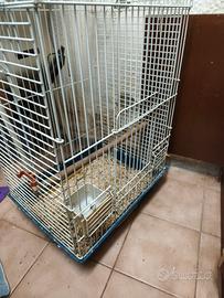 gabbia trespoli per pappagalli 