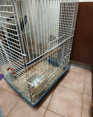 gabbia trespoli per pappagalli 