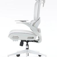 SIHOO Sedia da ufficio ergonomica per ufficio

