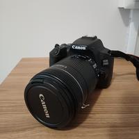 Canon EOS 250D + 18-135mm + 55-250mm 