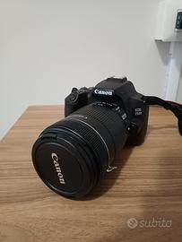 Canon EOS 250D + 18-135mm + 55-250mm 