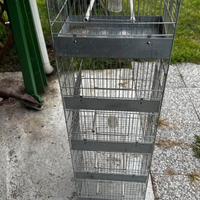 Gabbia esposizione