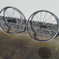 ruote campagnolo shamal ultra