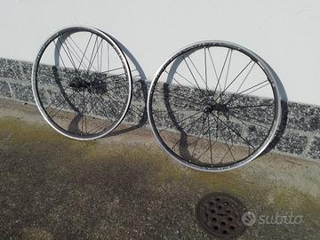 ruote campagnolo shamal ultra