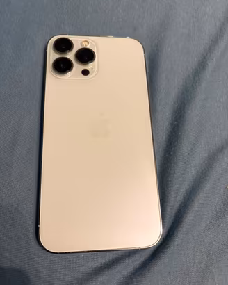 iPhone 13 Pro Max 256 GB