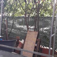 mobile giardino in ferro zincato