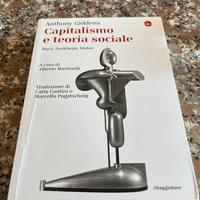 Capitalismo e teoria sociale