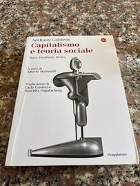 Capitalismo e teoria sociale