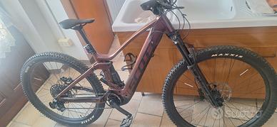 bicicletta a pedalata assistita 