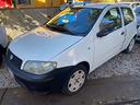 fiat-punto-1-2-8v-3-porte-dynamic-ok-per-neo-paten