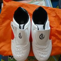 scarpe arti marziali taekwondo