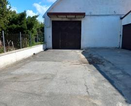 Capannone C1 con ufficio interno e parcheggio