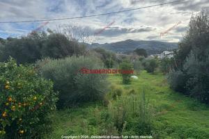 Terreno, Capo d'Orlando.