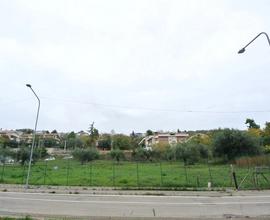 TERRENO EDIFICABILE ARTIGIANALE