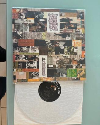 Disco in vinile housing project