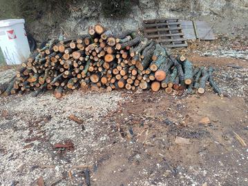 legna di quercia 