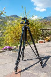 Treppiede Manfrotto Super Pro 161 + testa
