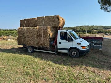 Daily 65/15 cassone fisso con gru