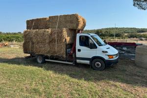 Daily 65/15 cassone fisso con gru