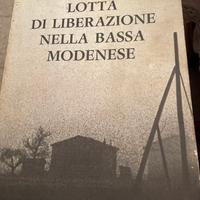 Lotta di liberazione della bassa modenese