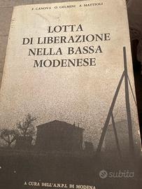 Lotta di liberazione della bassa modenese