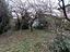 Immagine 28