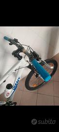 MTB Giant 