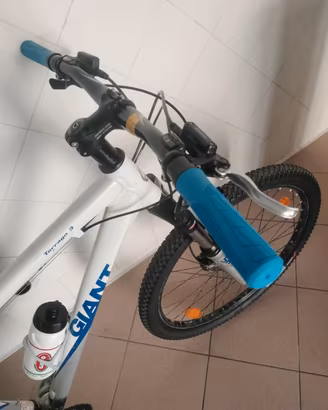 MTB Giant 