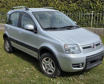 Fiat Panda 4x4  usata